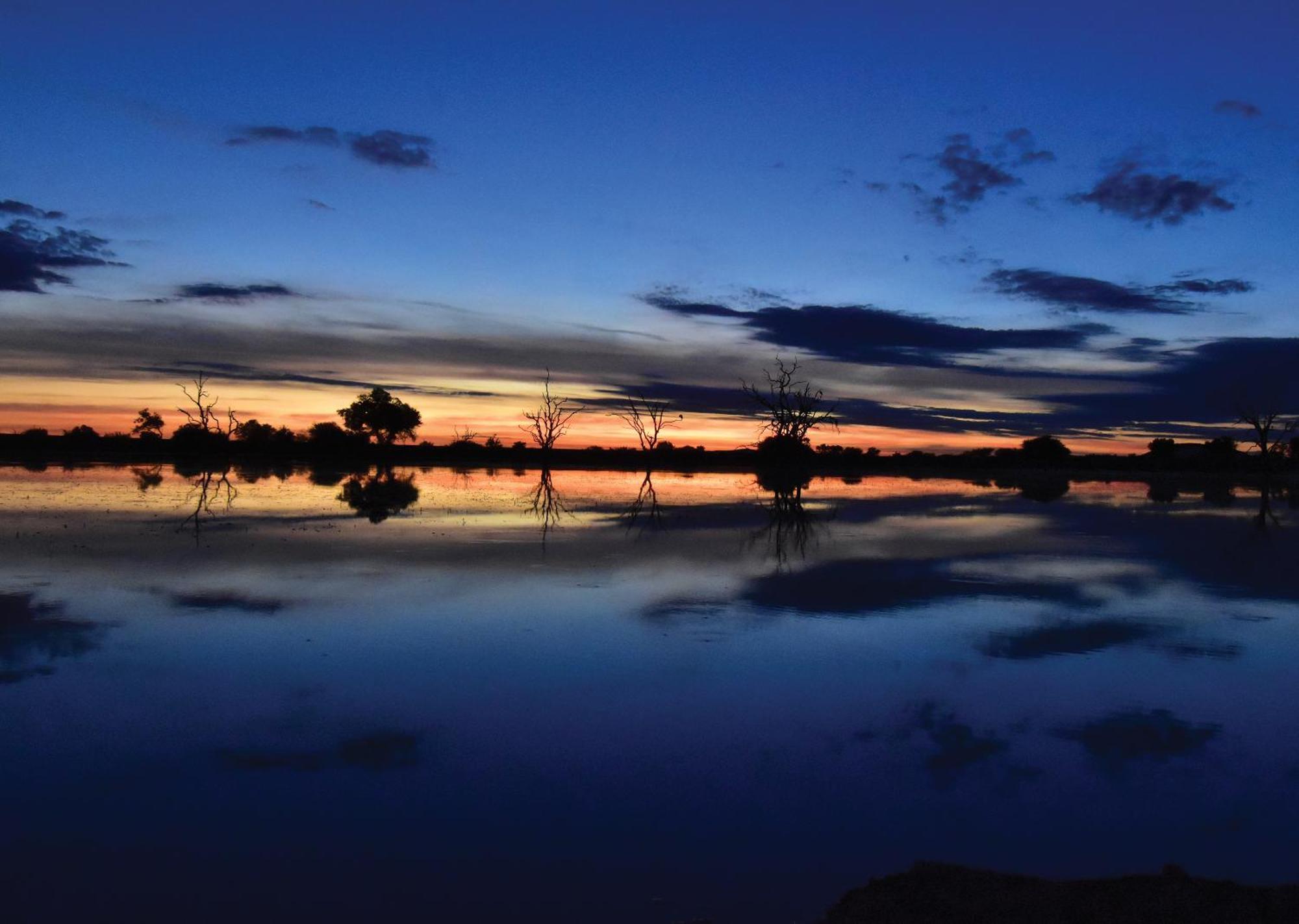 Madikwe River Lodge By Dream Resorts Madikwe Game Reserve Eksteriør bilde