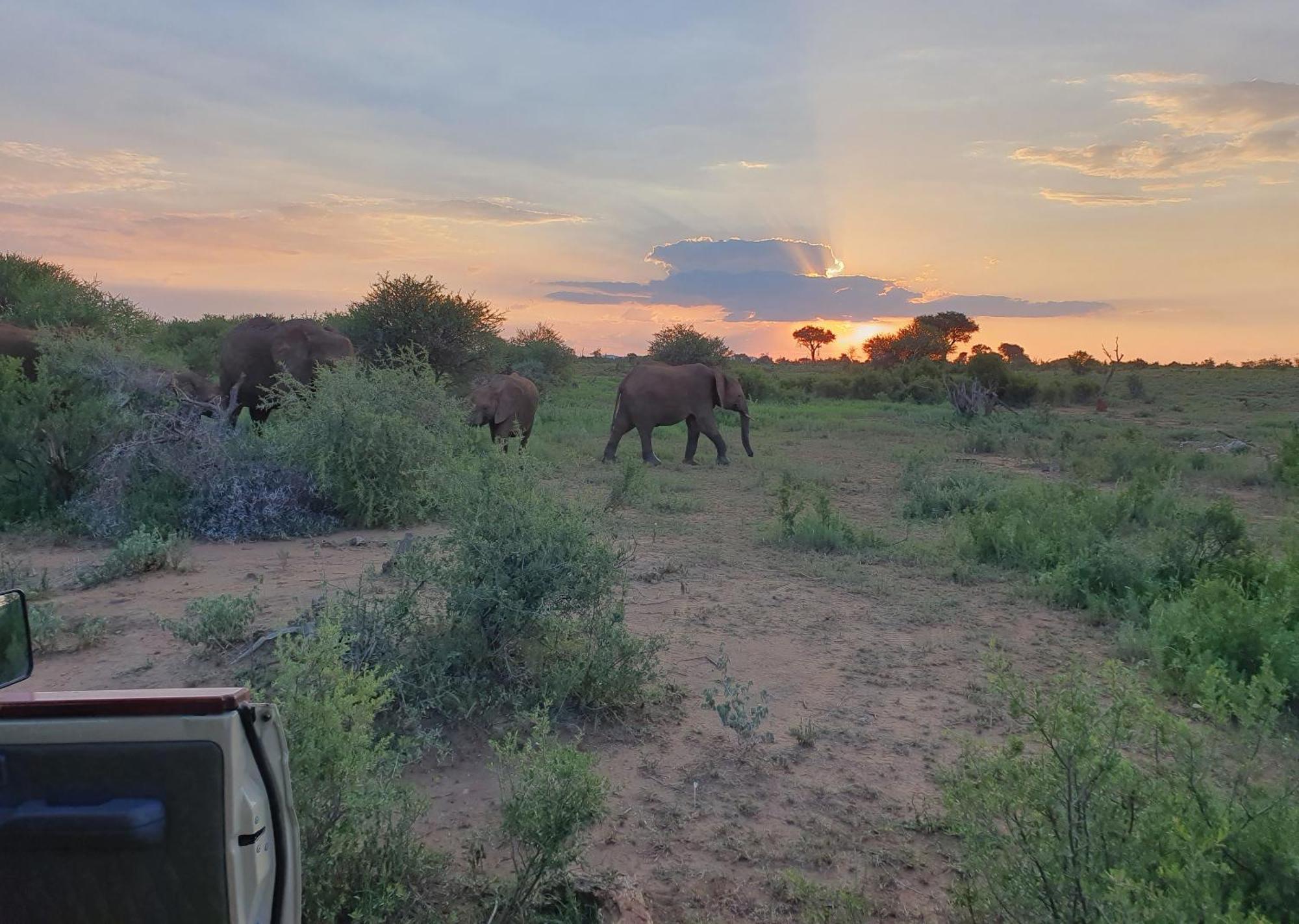 Madikwe River Lodge By Dream Resorts Madikwe Game Reserve Eksteriør bilde