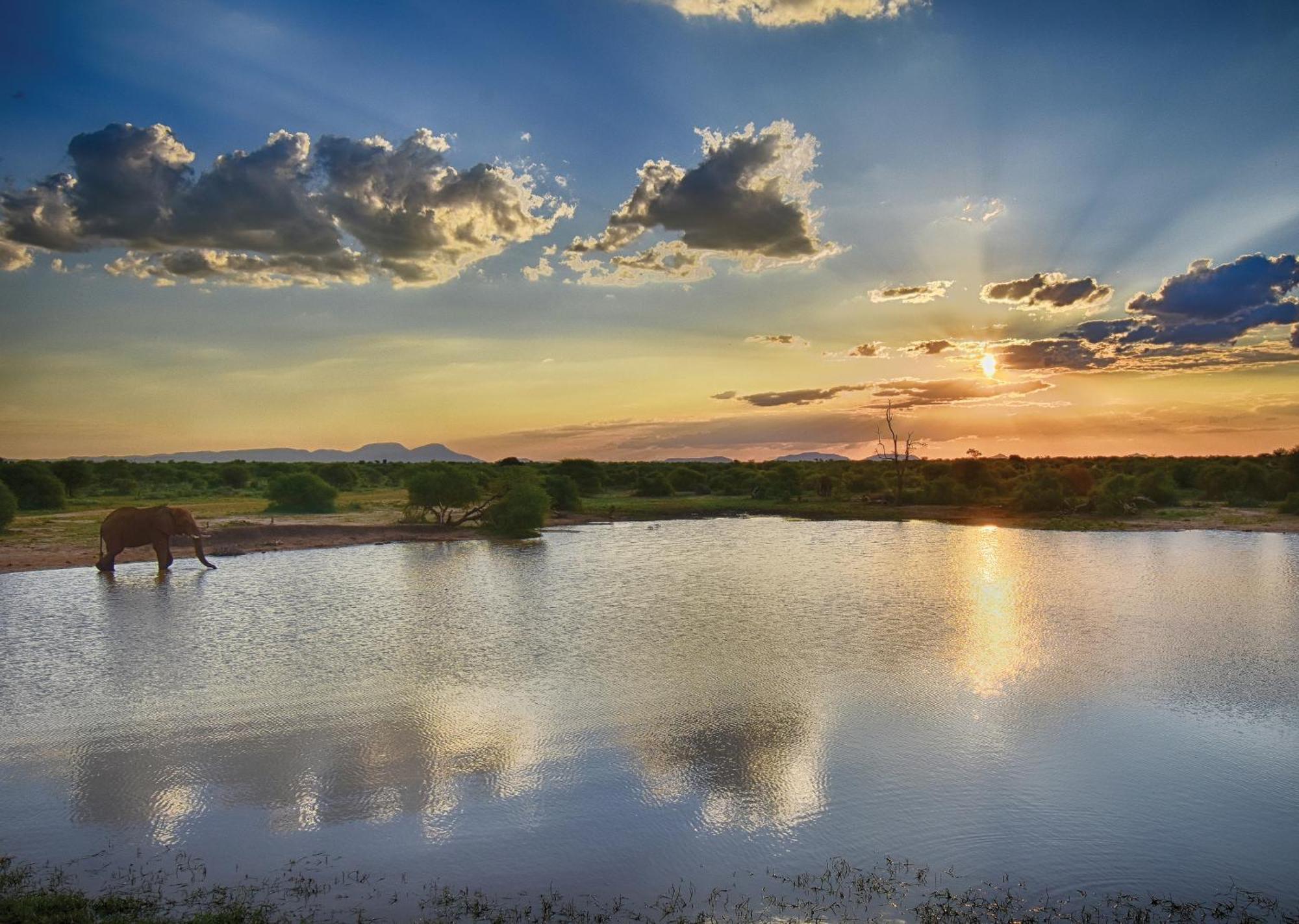 Madikwe River Lodge By Dream Resorts Madikwe Game Reserve Eksteriør bilde