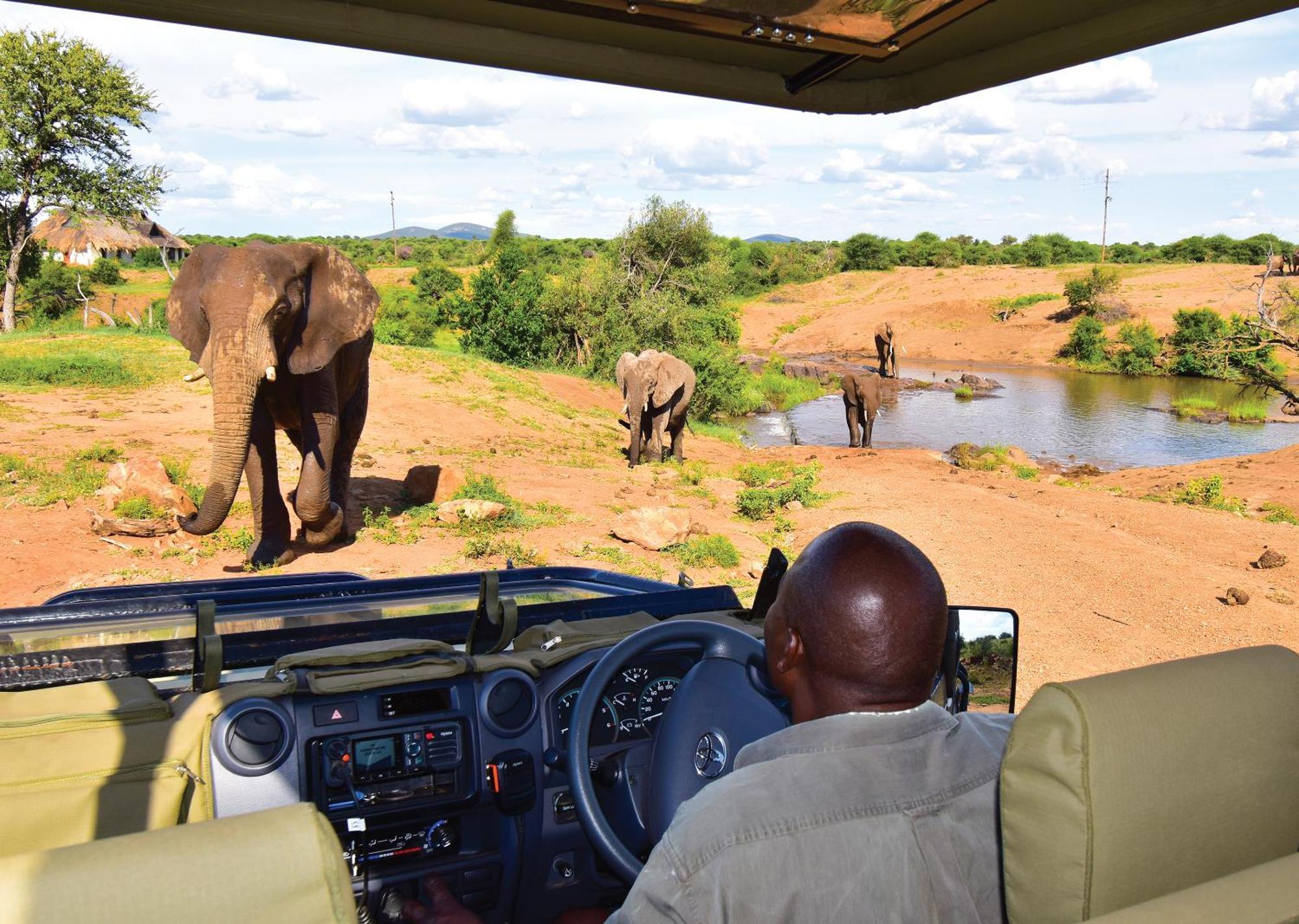 Madikwe River Lodge By Dream Resorts Madikwe Game Reserve Eksteriør bilde
