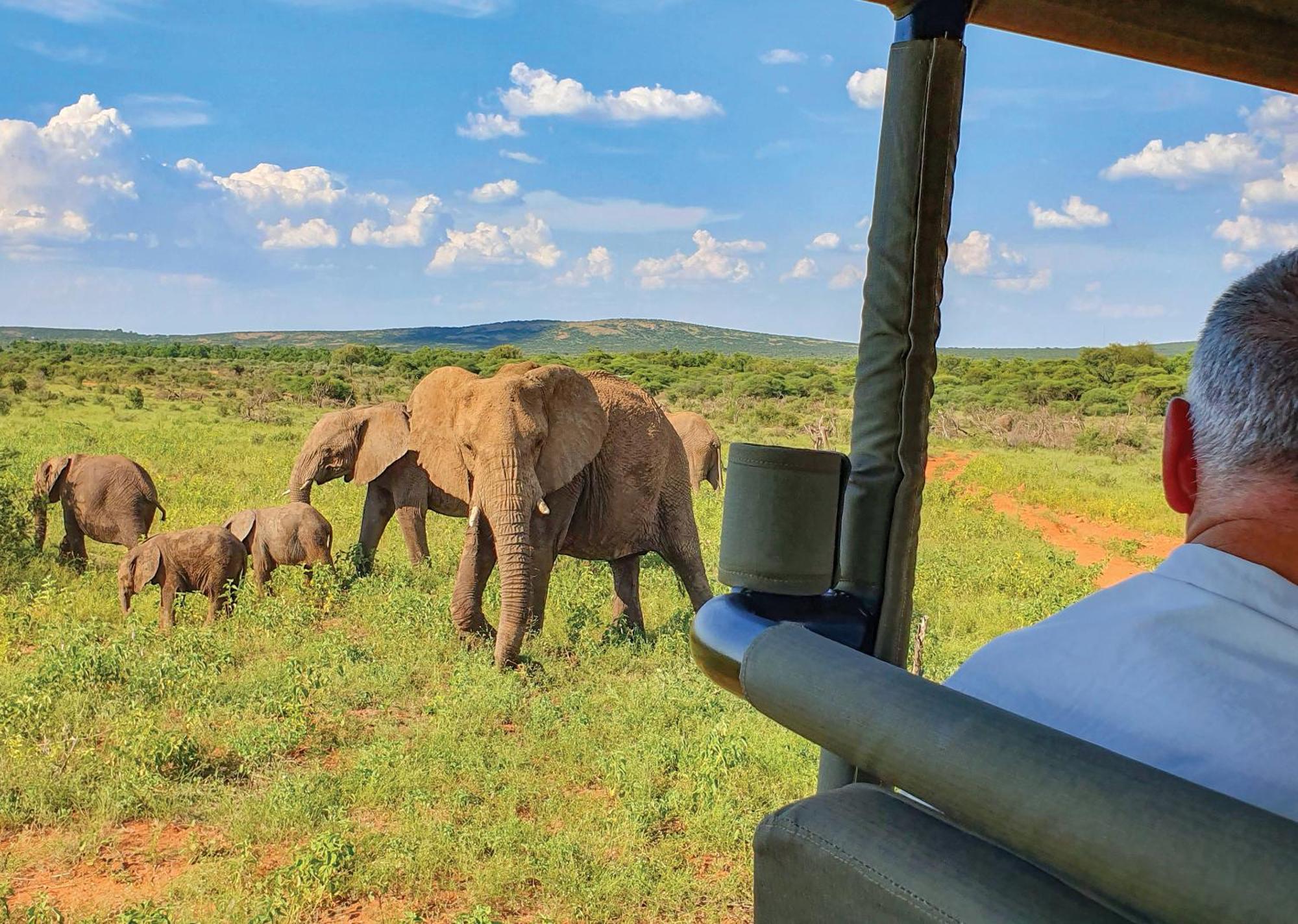 Madikwe River Lodge By Dream Resorts Madikwe Game Reserve Eksteriør bilde