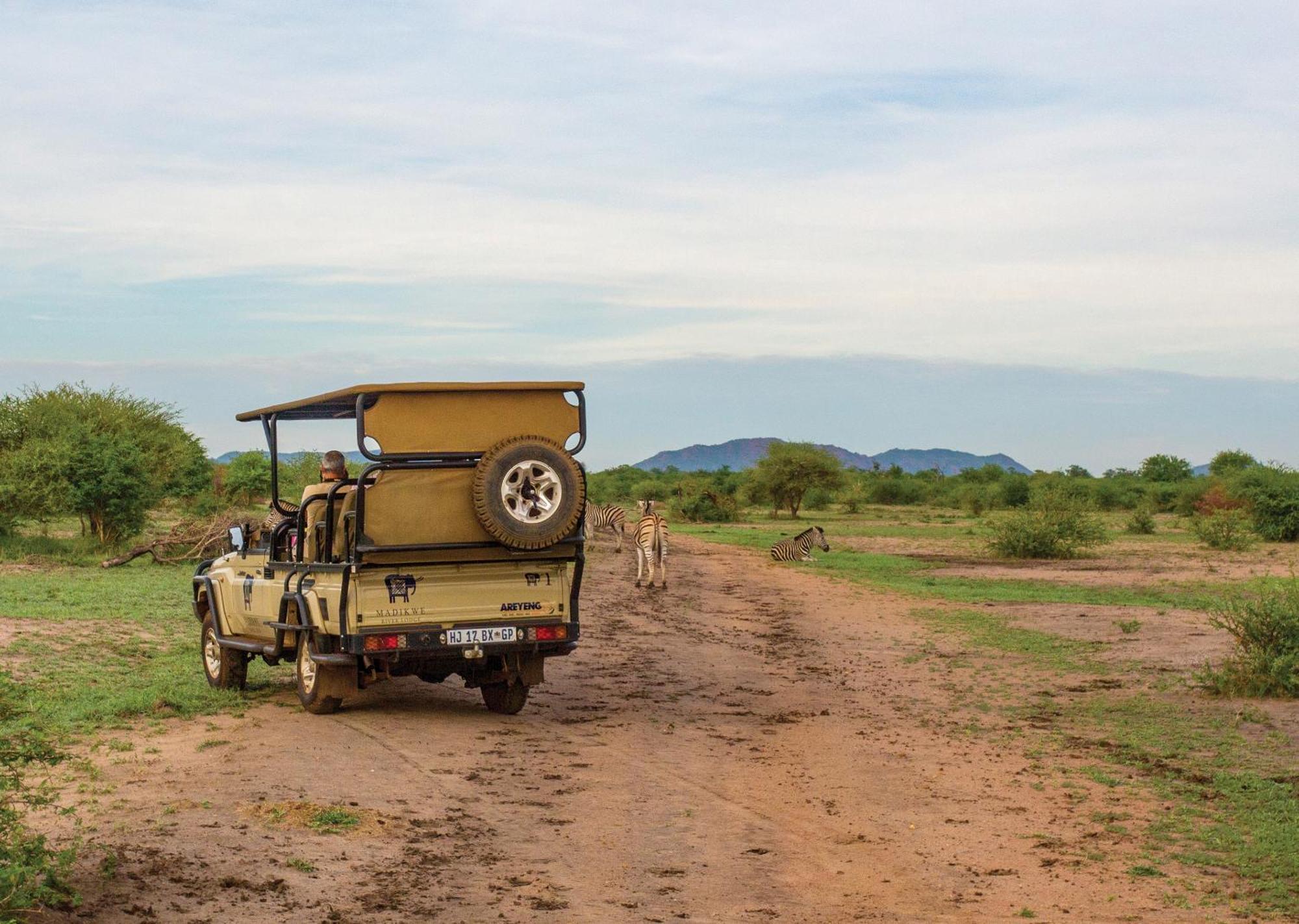 Madikwe River Lodge By Dream Resorts Madikwe Game Reserve Eksteriør bilde