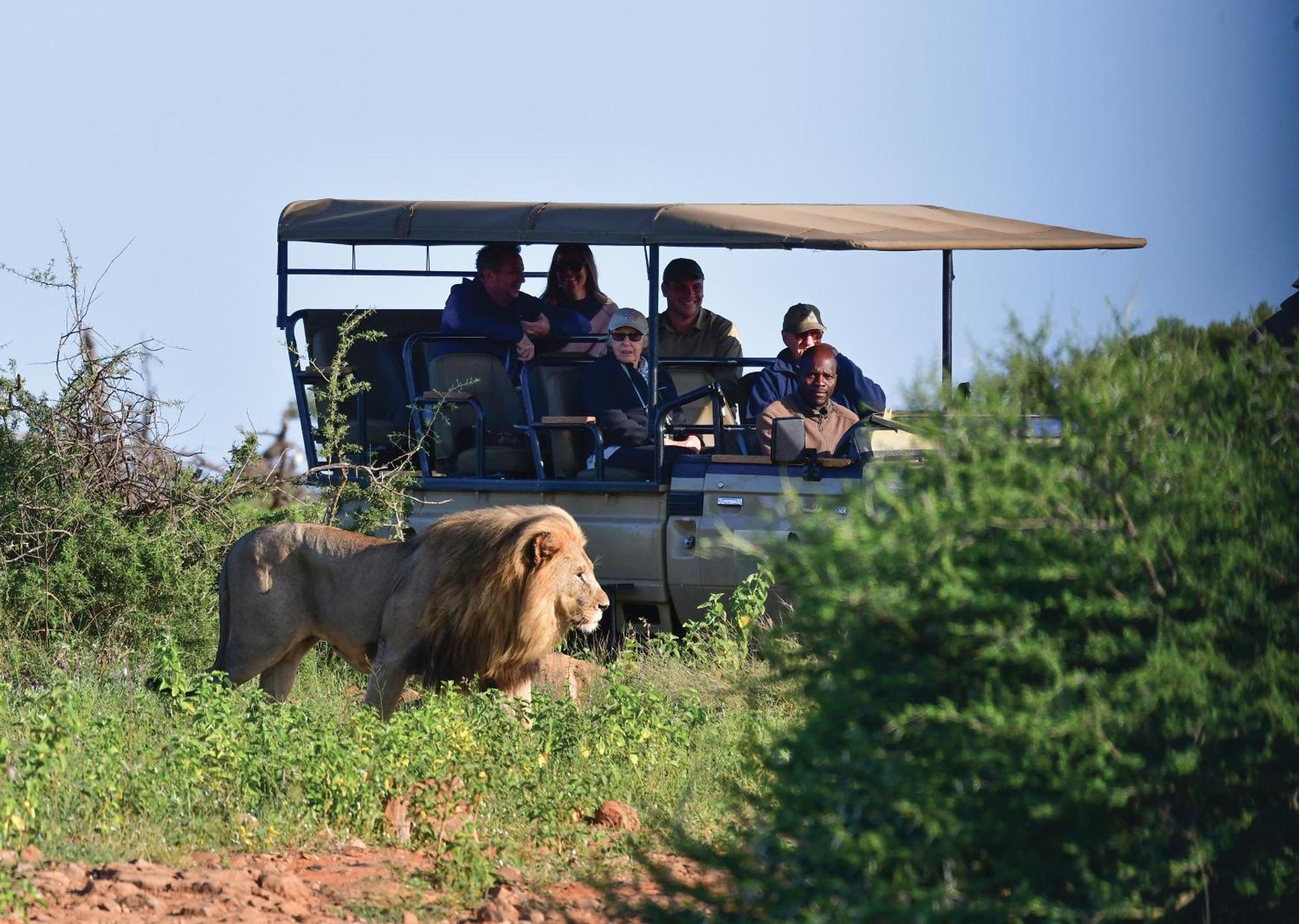 Madikwe River Lodge By Dream Resorts Madikwe Game Reserve Eksteriør bilde