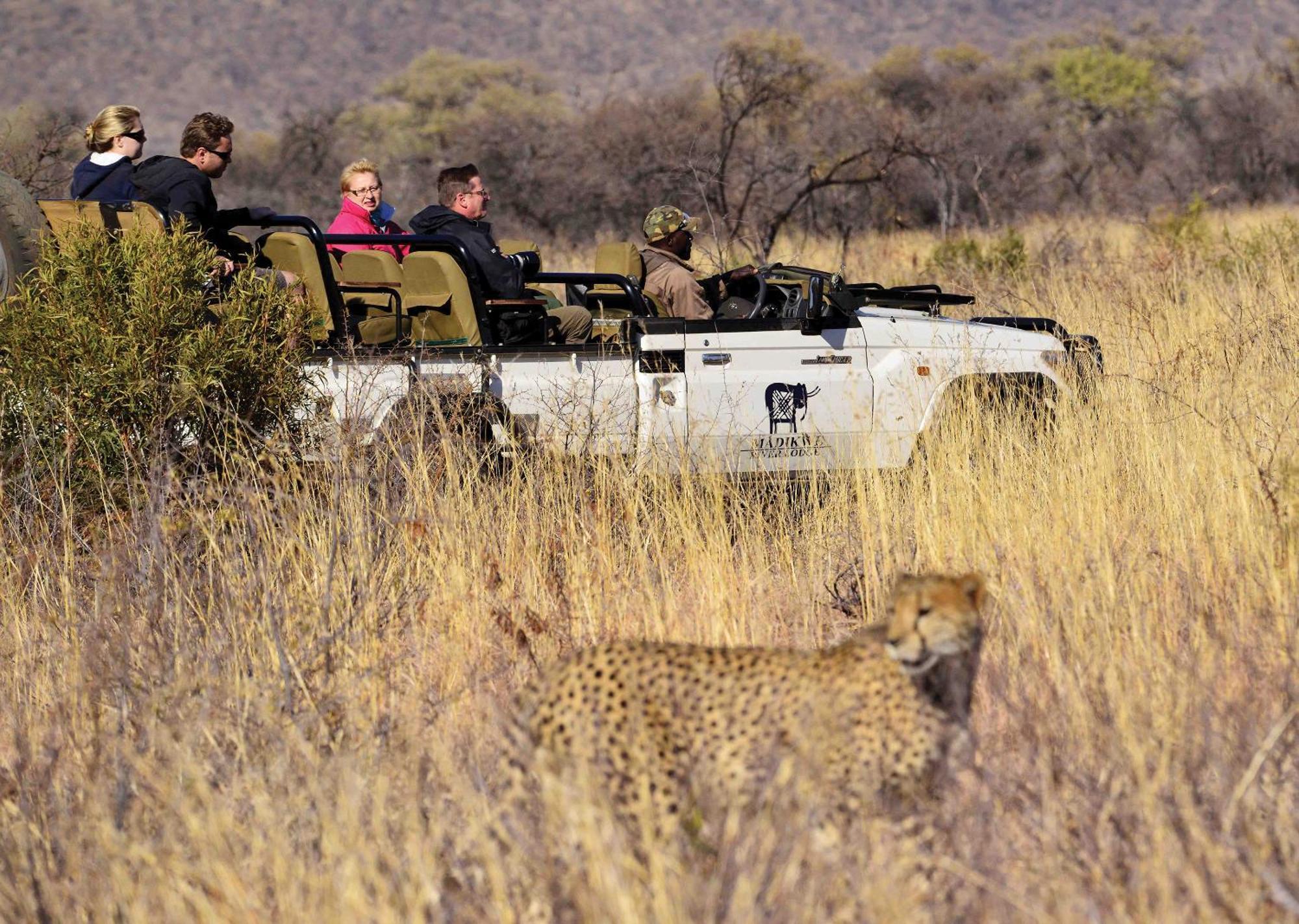 Madikwe River Lodge By Dream Resorts Madikwe Game Reserve Eksteriør bilde