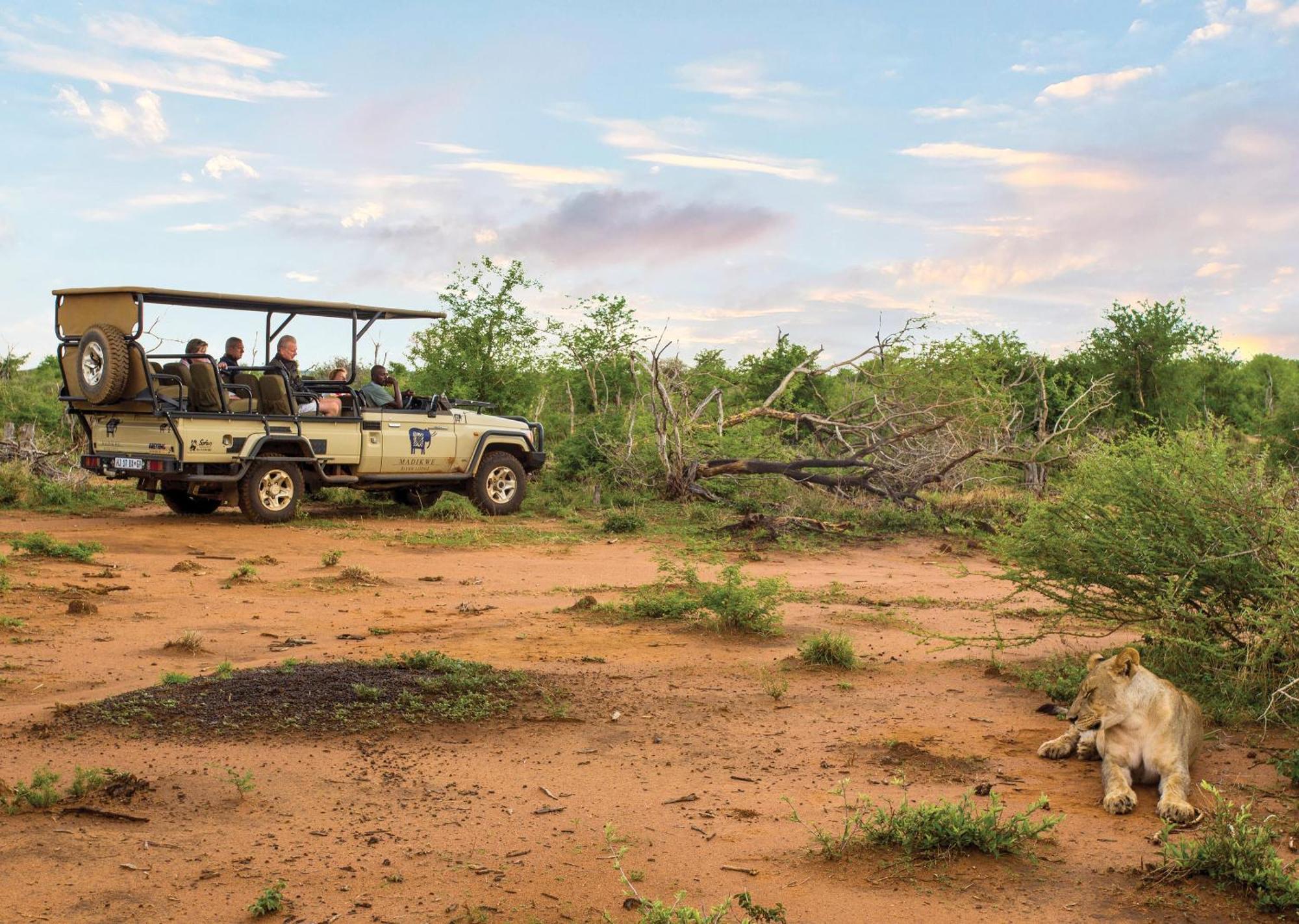 Madikwe River Lodge By Dream Resorts Madikwe Game Reserve Eksteriør bilde