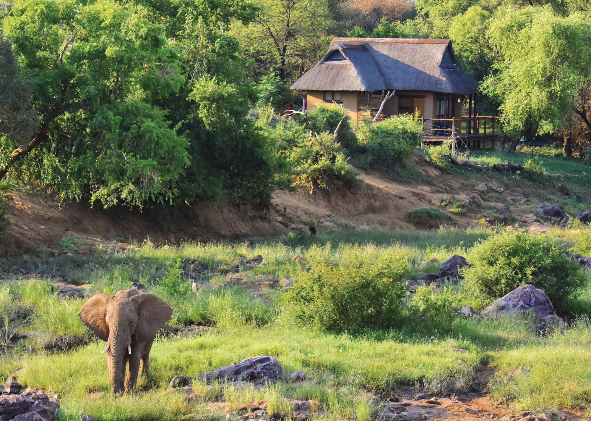 Madikwe River Lodge By Dream Resorts Madikwe Game Reserve Rom bilde