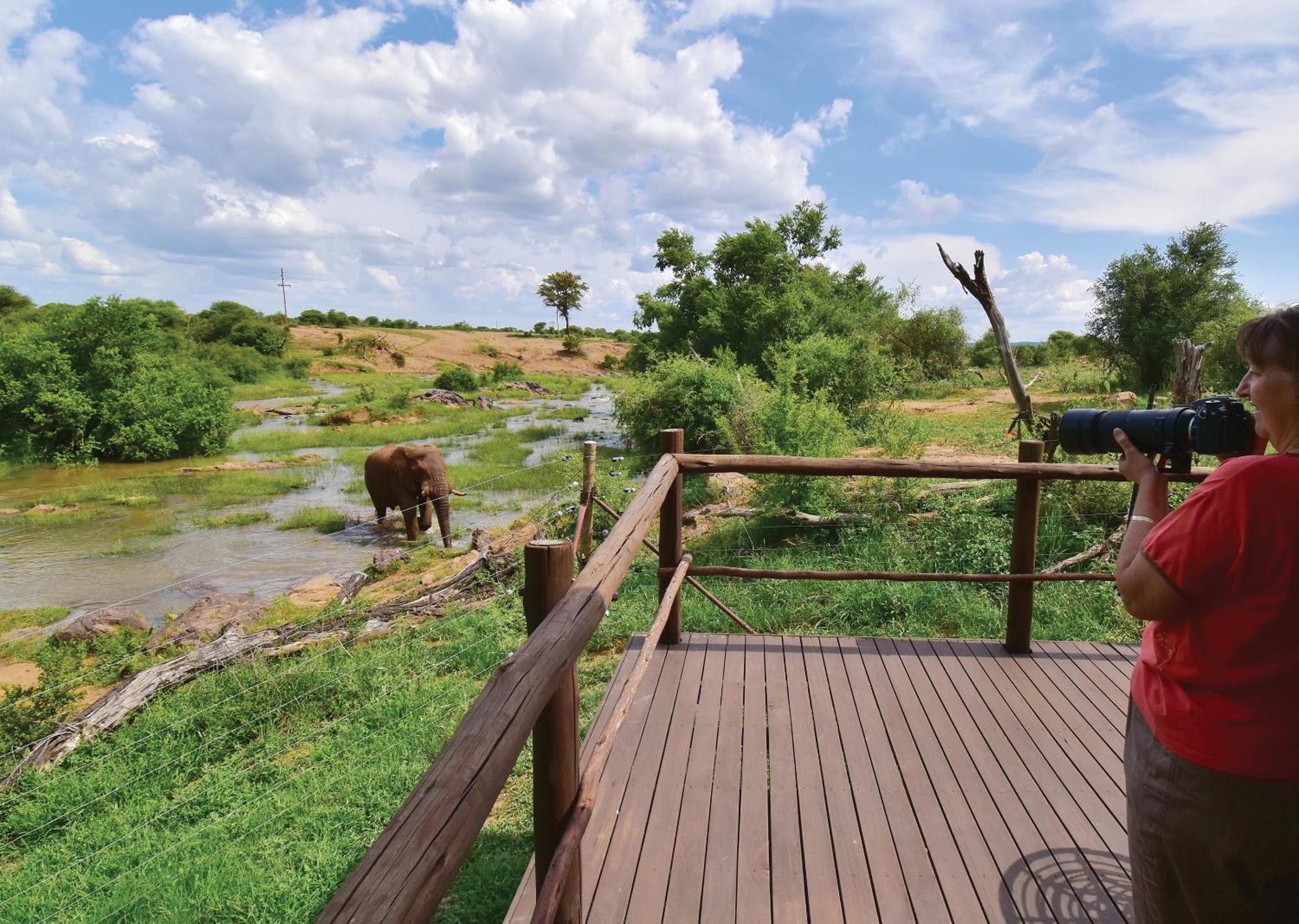 Madikwe River Lodge By Dream Resorts Madikwe Game Reserve Rom bilde