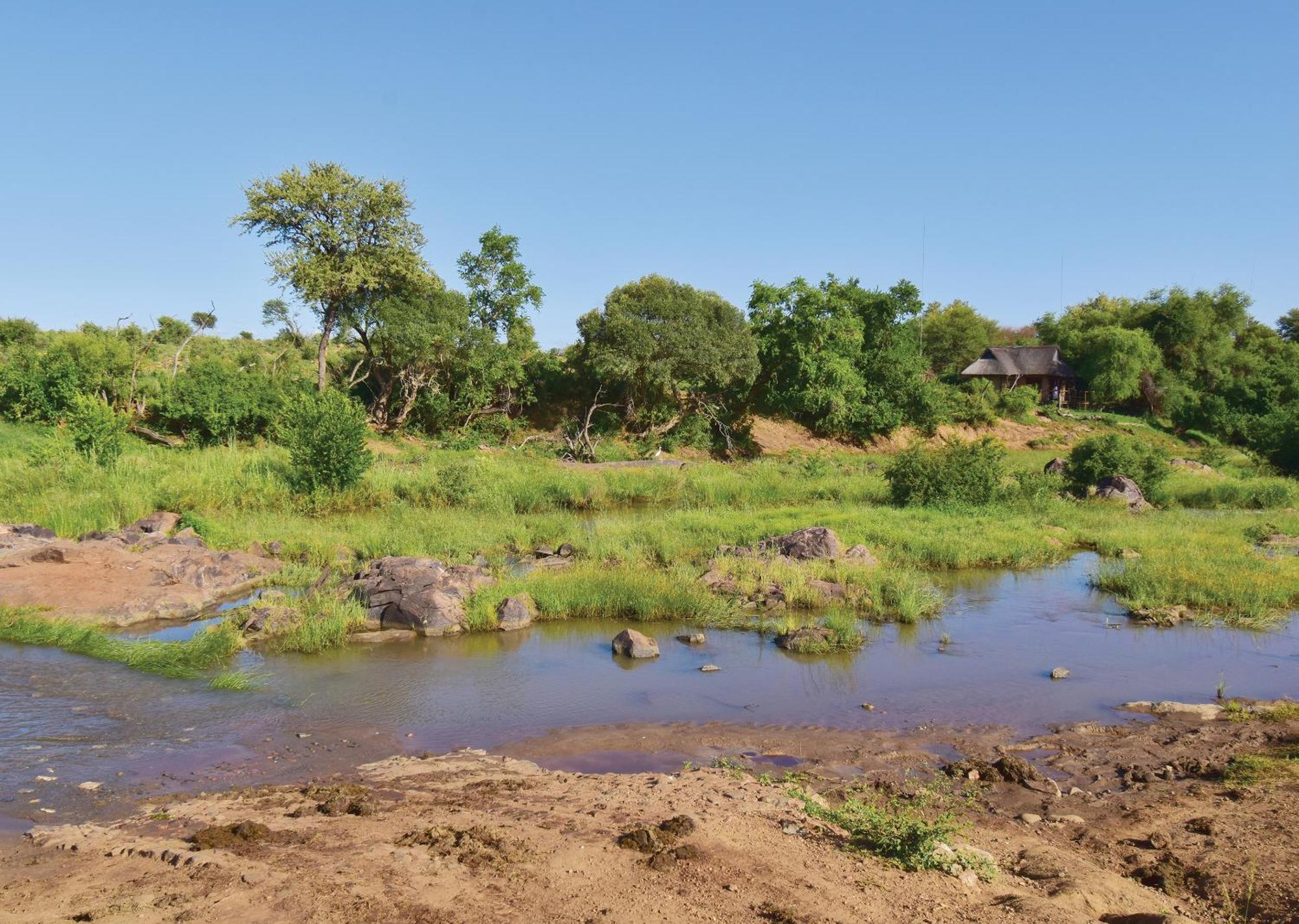 Madikwe River Lodge By Dream Resorts Madikwe Game Reserve Rom bilde