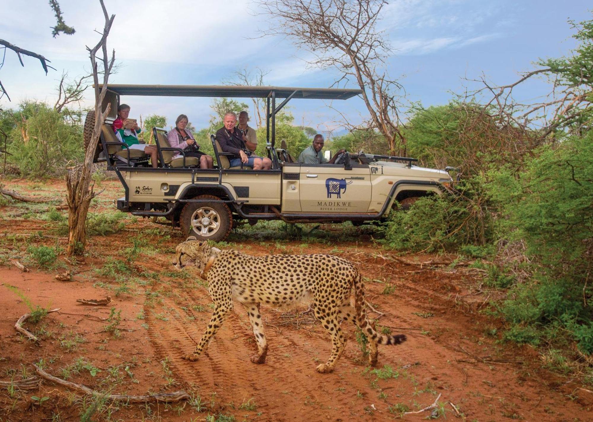 Madikwe River Lodge By Dream Resorts Madikwe Game Reserve Eksteriør bilde